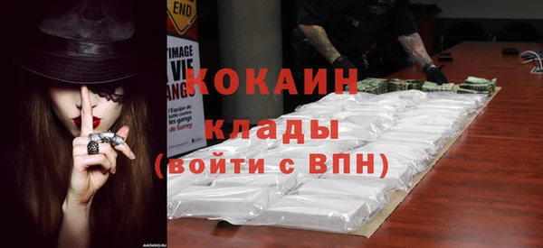 ПСИЛОЦИБИНОВЫЕ ГРИБЫ Богданович