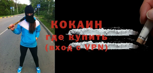 шишки Богородск