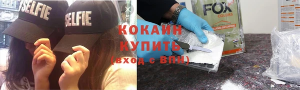шишки Богородск