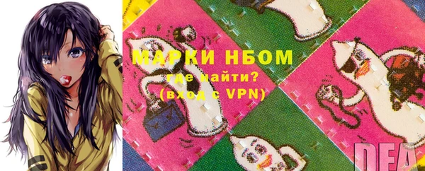 шишки Богородск