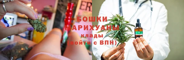 шишки Богородск