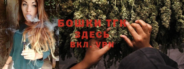 шишки Богородск
