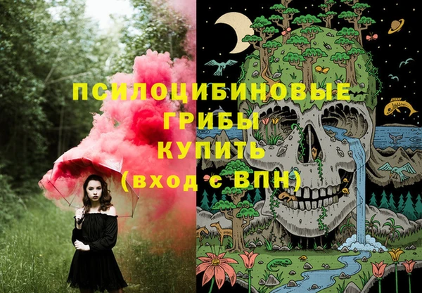 шишки Богородск