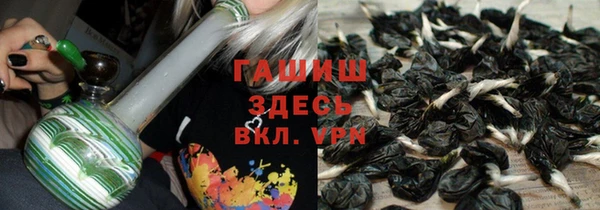 ПСИЛОЦИБИНОВЫЕ ГРИБЫ Богданович
