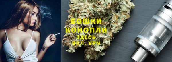 ПСИЛОЦИБИНОВЫЕ ГРИБЫ Богданович