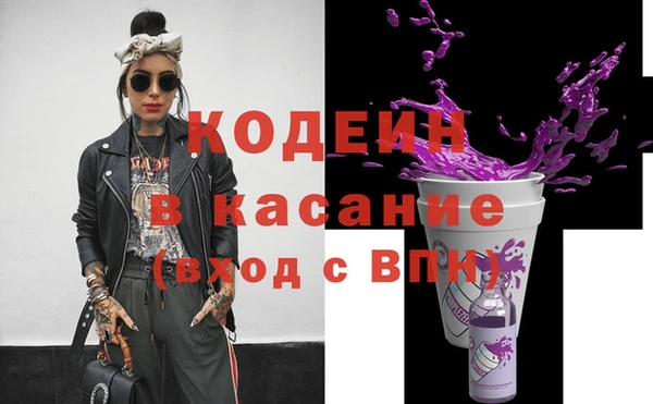 ПСИЛОЦИБИНОВЫЕ ГРИБЫ Богданович