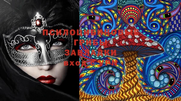 ПСИЛОЦИБИНОВЫЕ ГРИБЫ Богданович