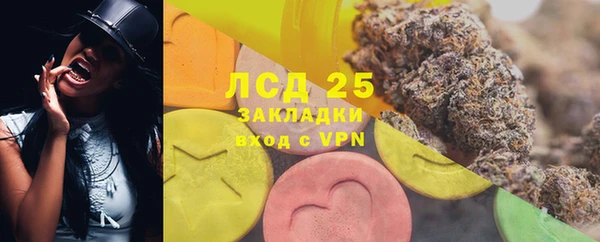 ПСИЛОЦИБИНОВЫЕ ГРИБЫ Богданович