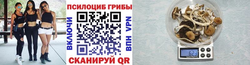 Купить где  Рузаевка  Галлюциногенные грибы ЛСД 